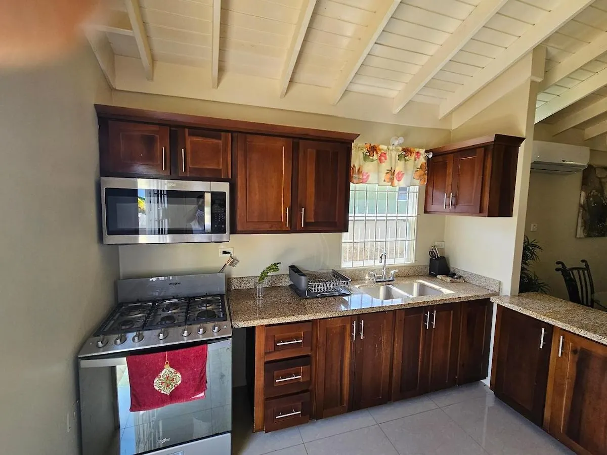 Flex Villa All Inclusive Ja Falmouth