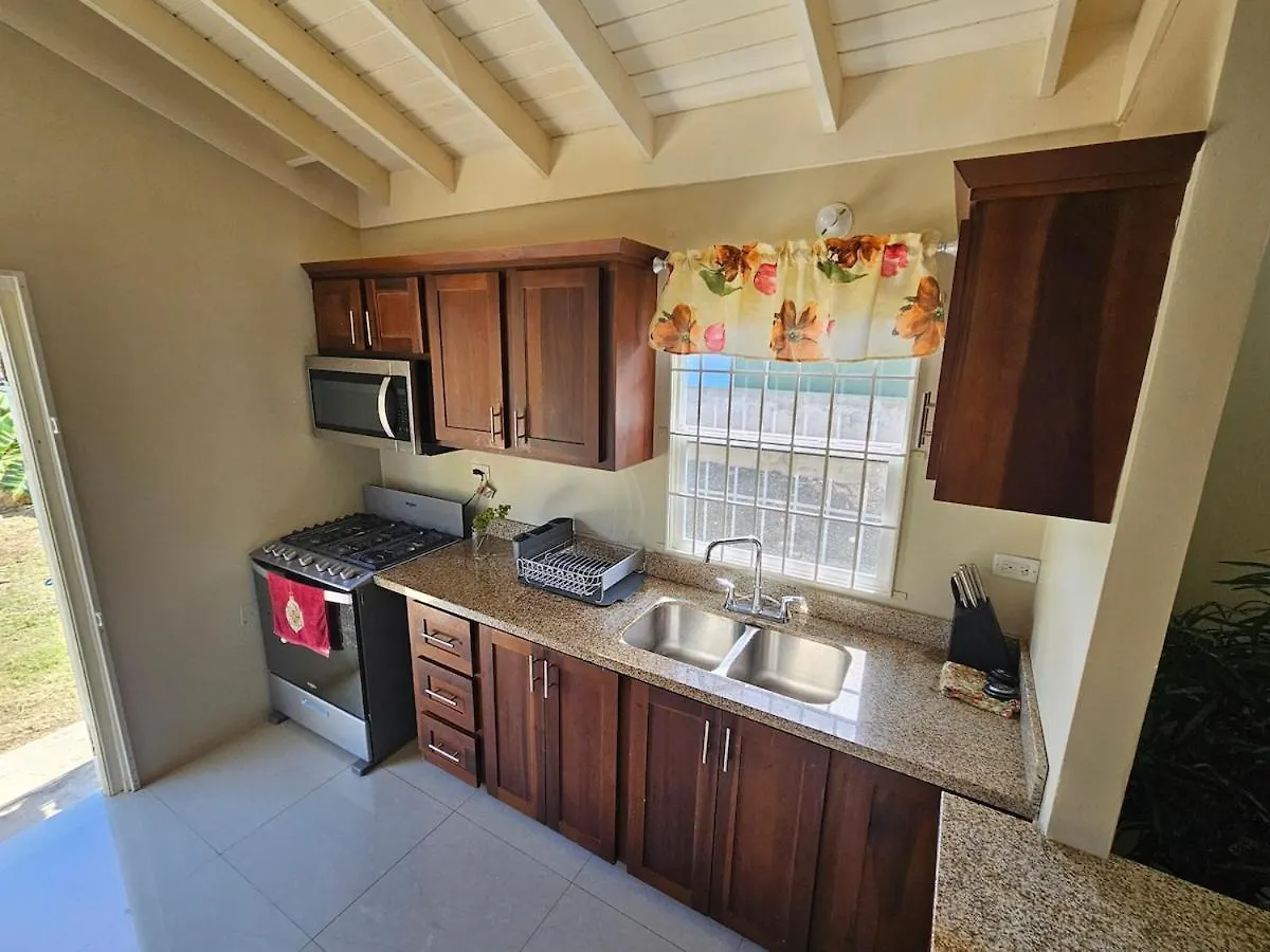 Flex Villa All Inclusive Ja Falmouth Jamaica