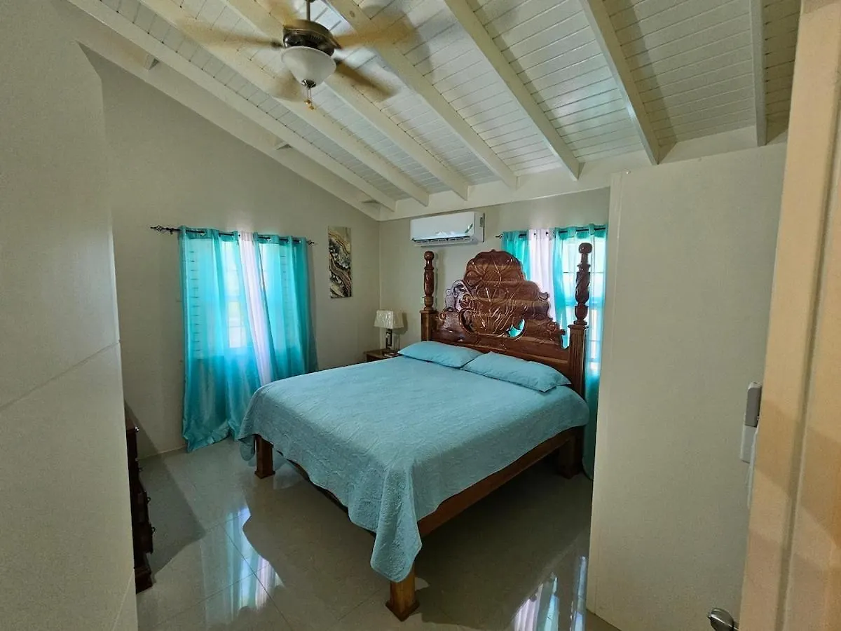 Flex Villa All Inclusive Ja Falmouth 0*,  Jamaica