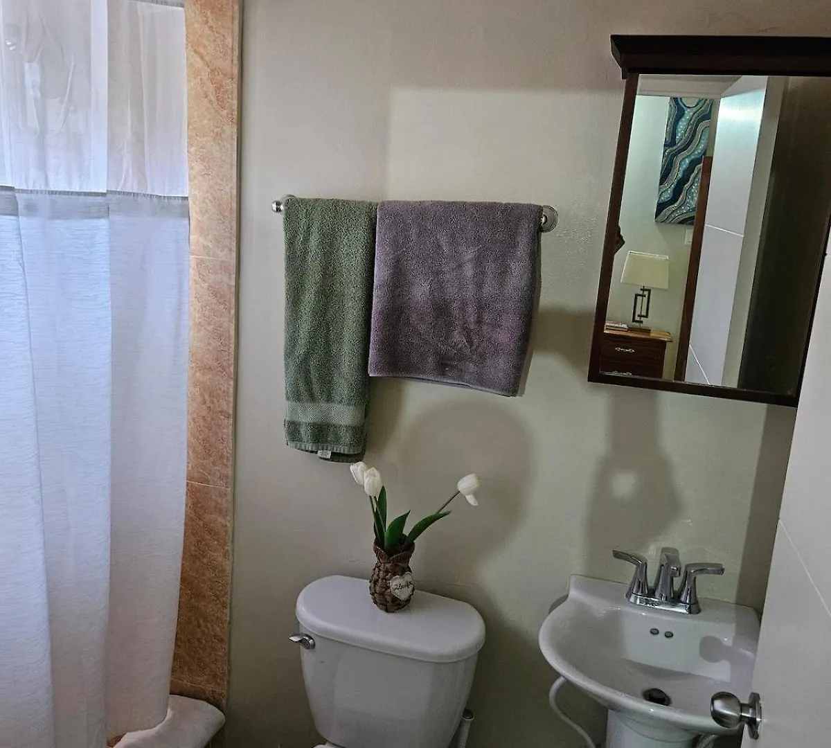 Flex Villa All Inclusive Ja 法尔茅斯