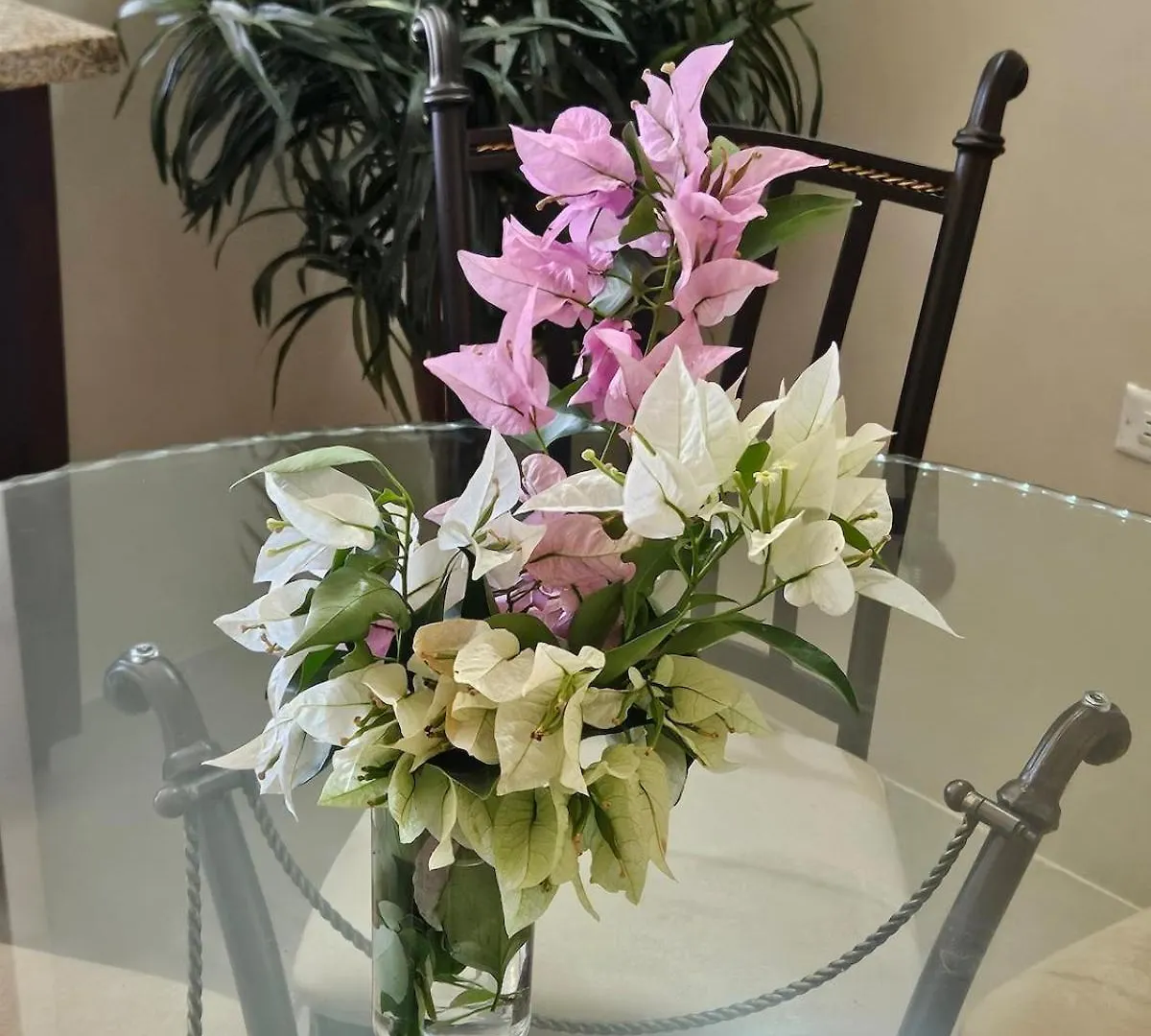 Flex Villa All Inclusive Ja 法尔茅斯 牙买加
